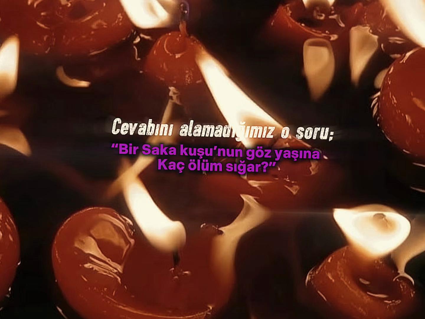 @ᴇʟᴢᴇᴍ ᴀᴋᴀʏ™᭕.꙳