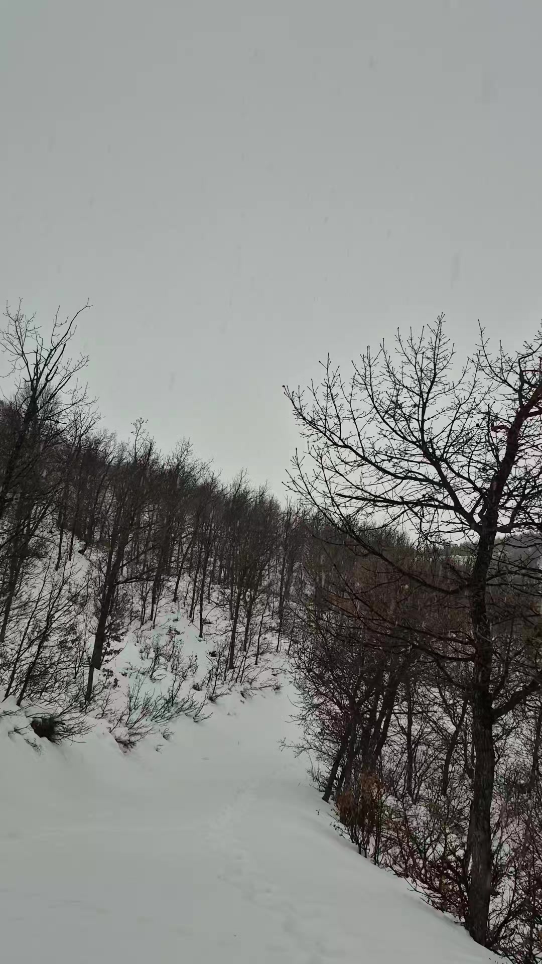 @Mevlüt Gül