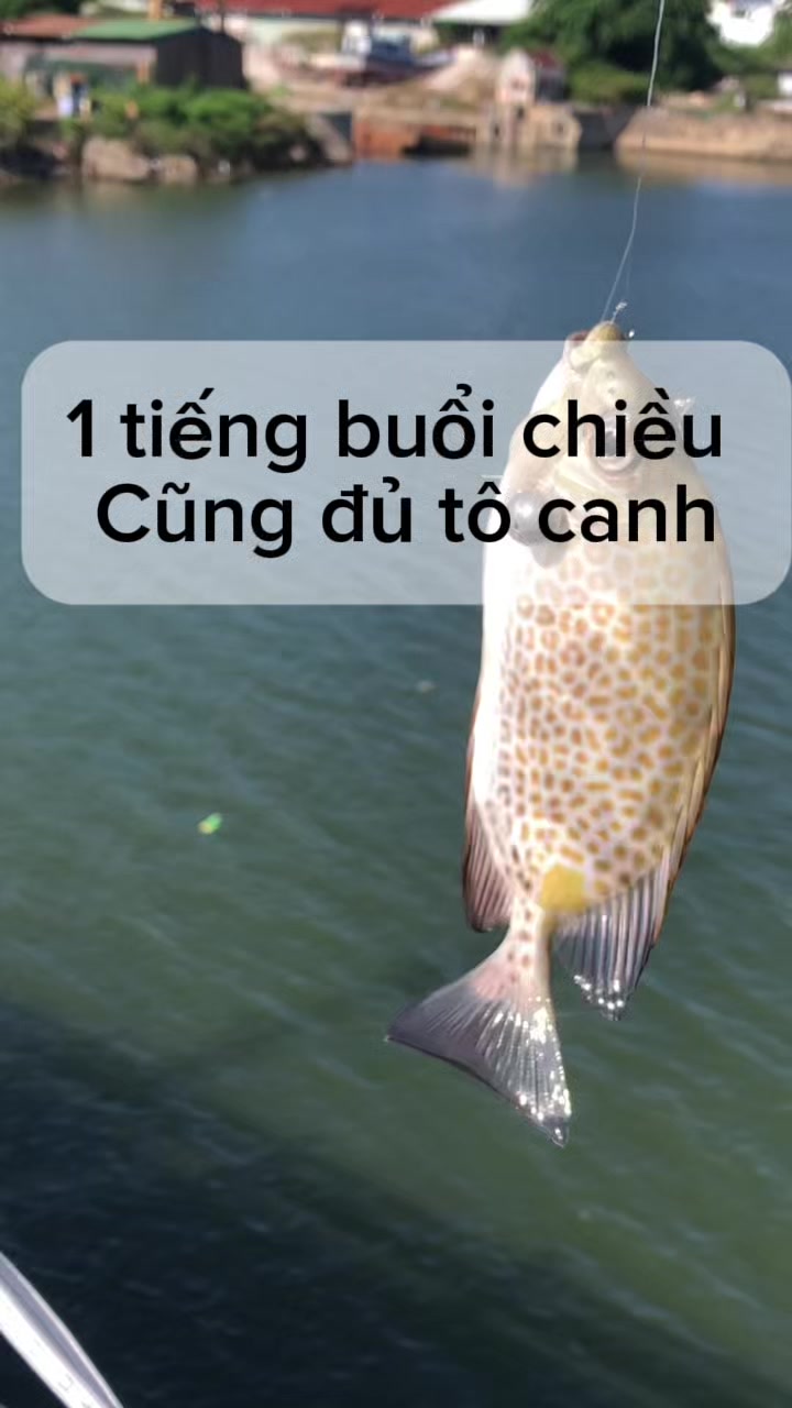 @Nha Trang fishing tour
