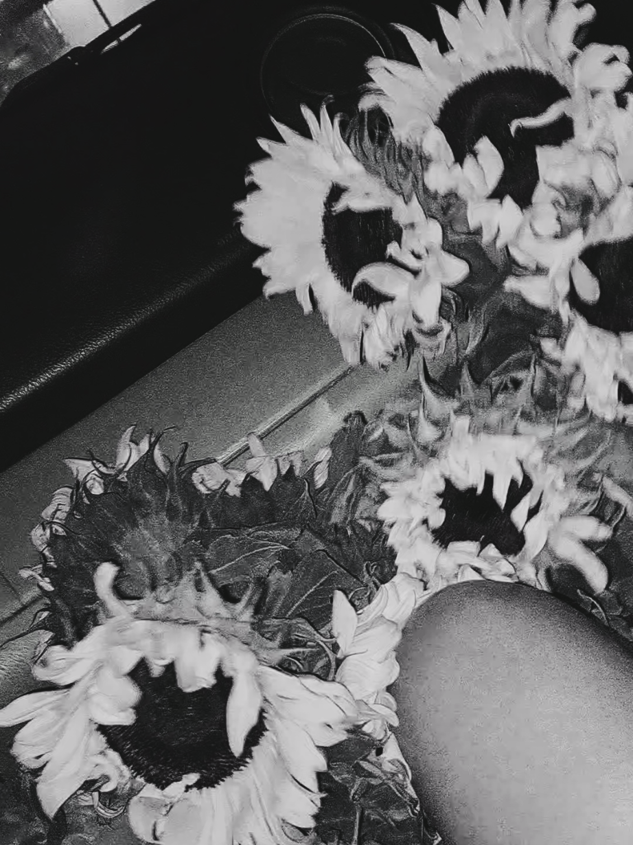 @Arivers29🖤🥷🏻