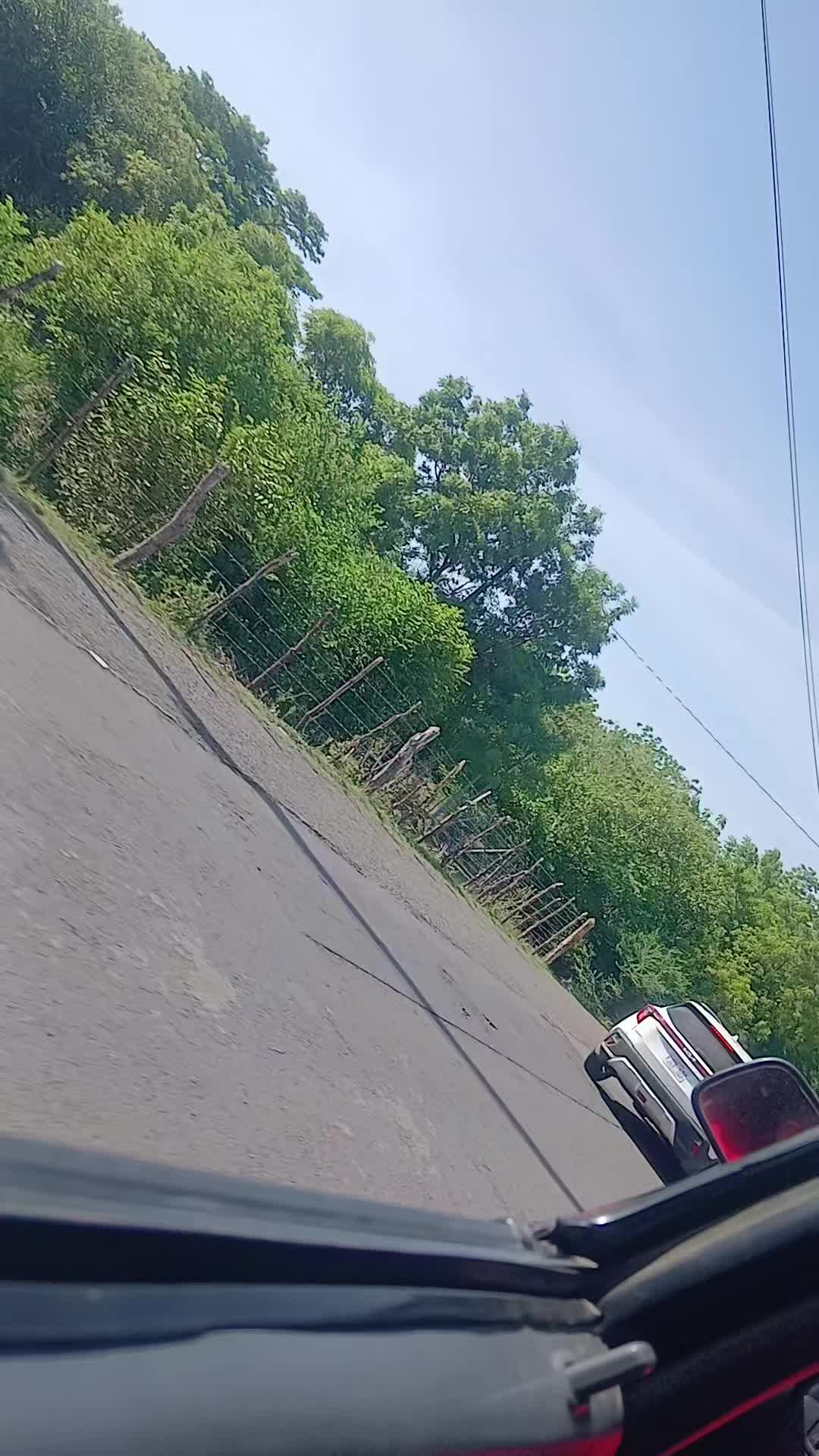 @morenita🌺