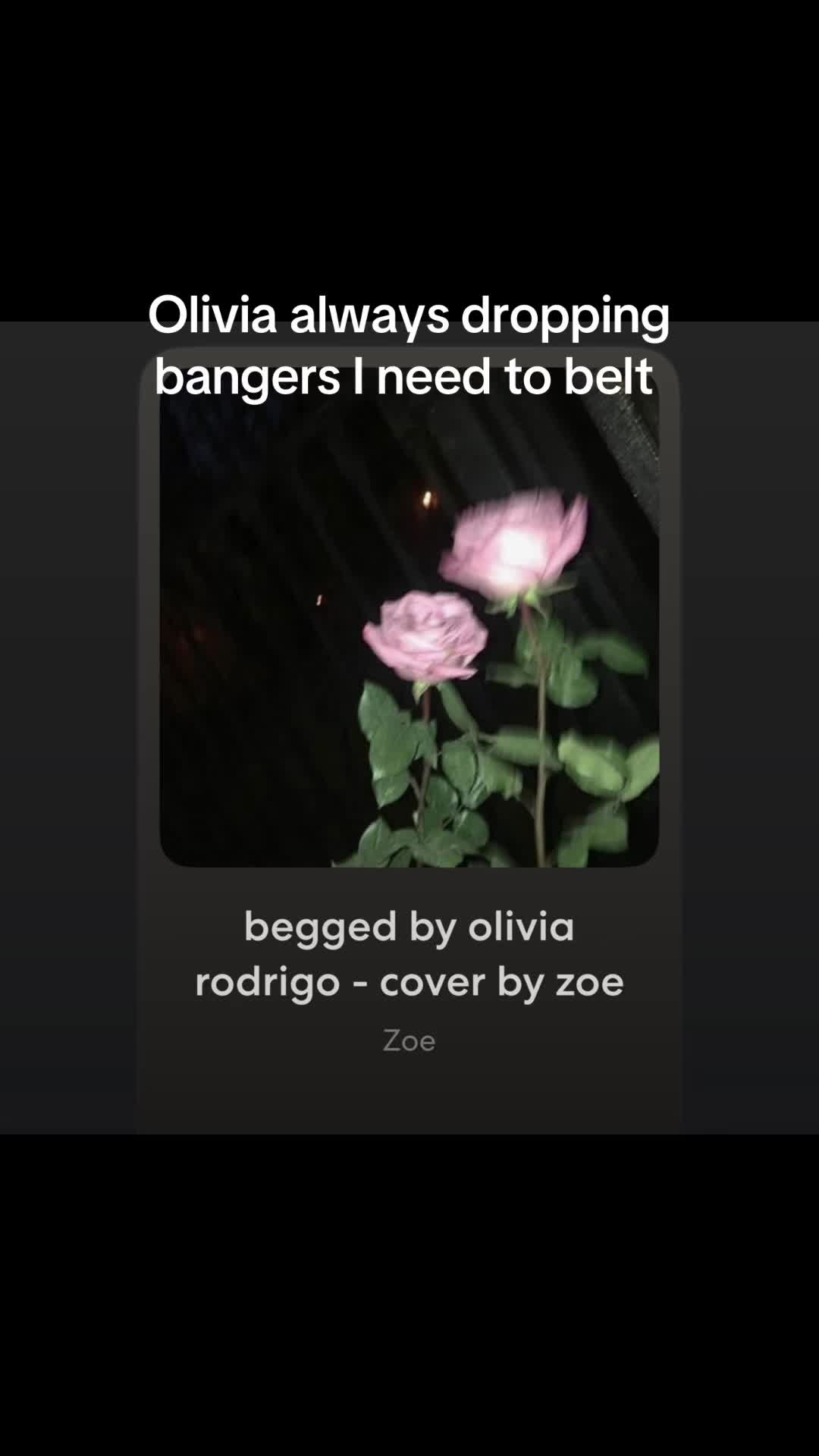 @Zoey Uso