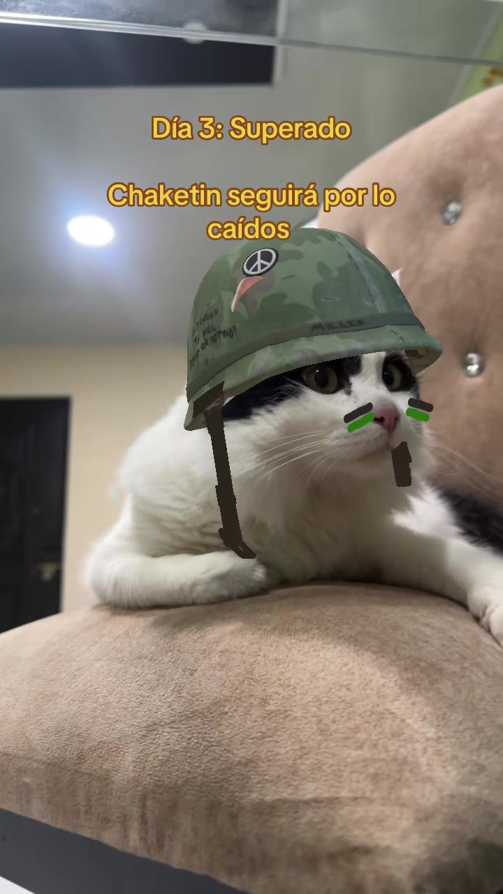 @pepe_el_gordillo