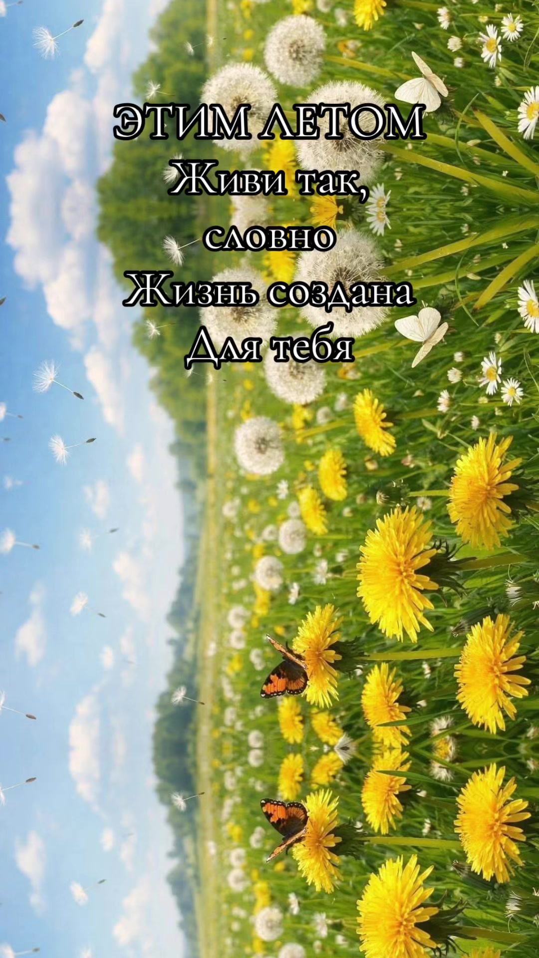 @Статусы и Цитаты от Натальи