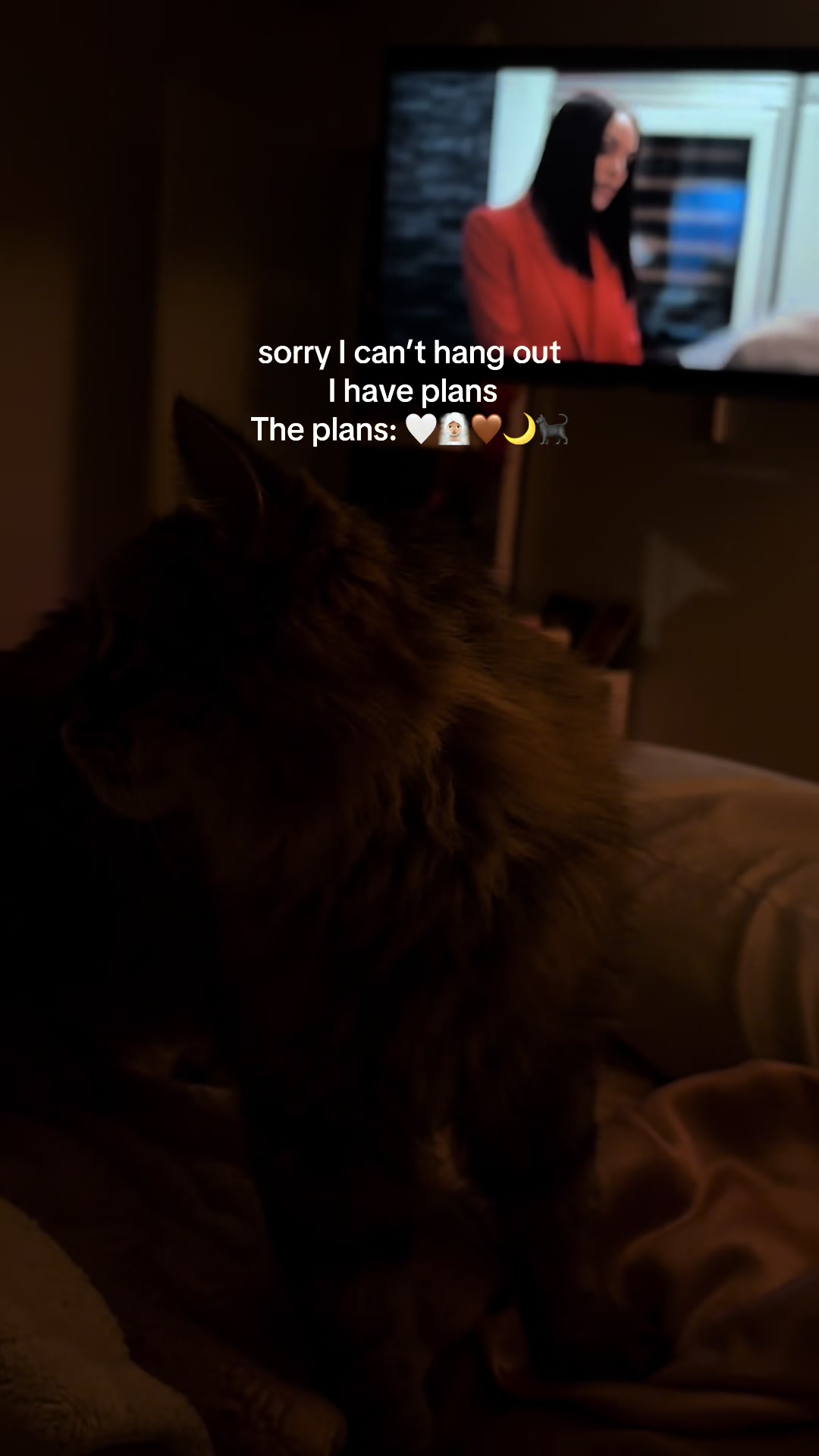 @riribee_