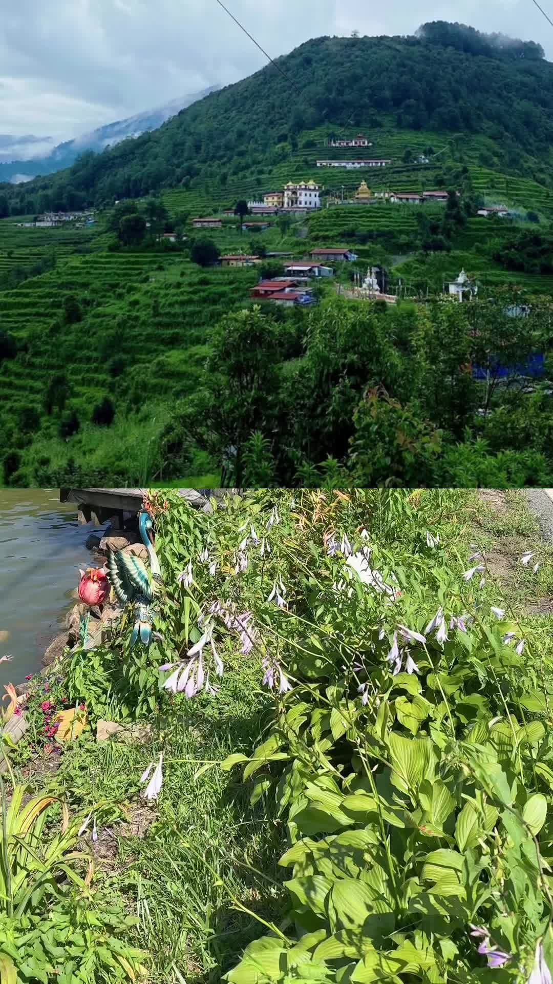 @⭐️ ⭐️ Pemba टाक्तोक sherpa✅
