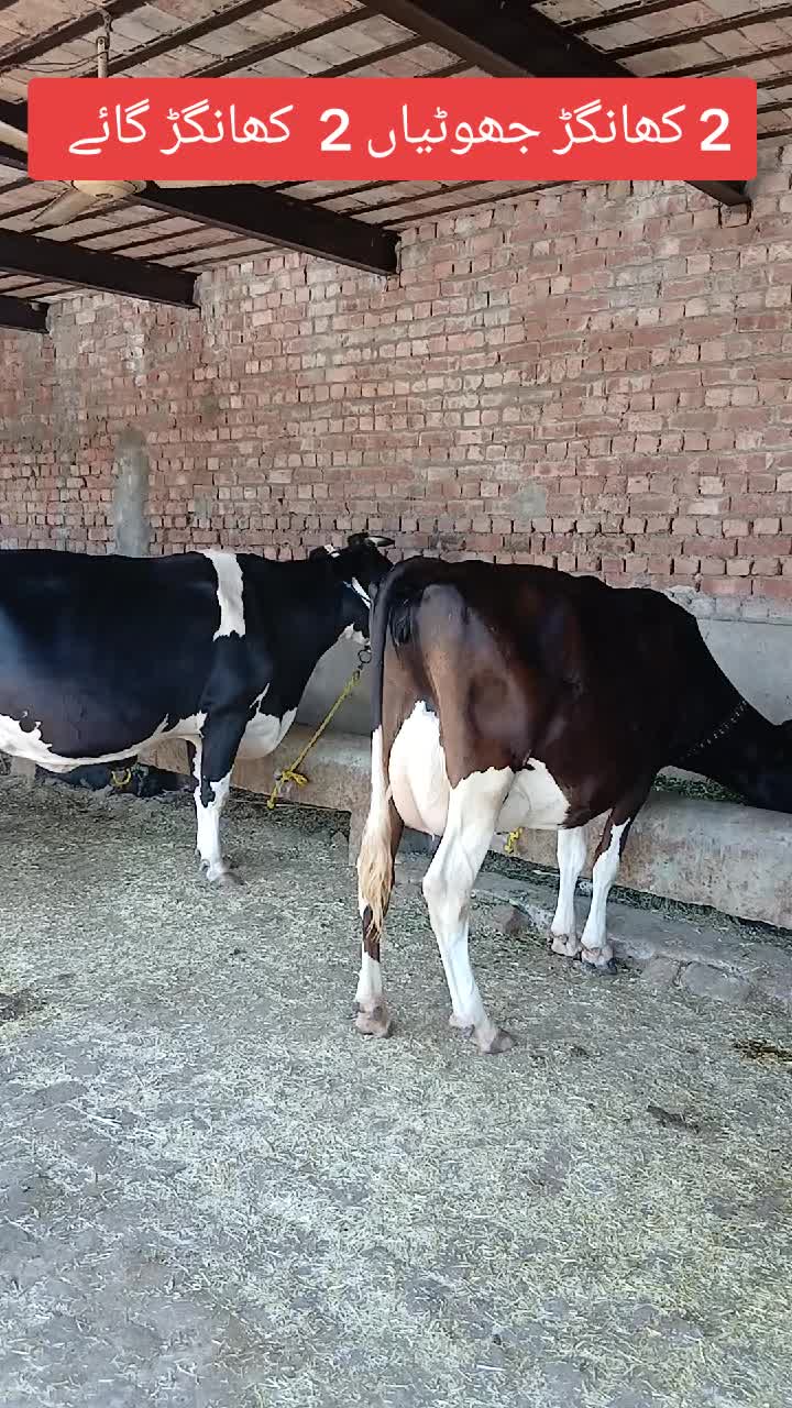 @Farming and Business Ideas