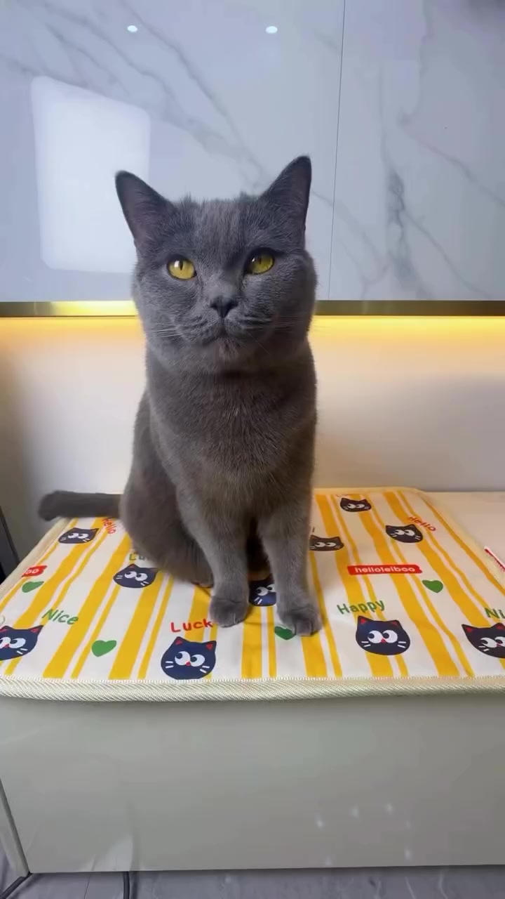 @❤ Михаил Бартош ❤