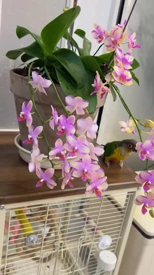 @๐๐๋๋ฆผ๊ฐ๋ ์์ค๐๐