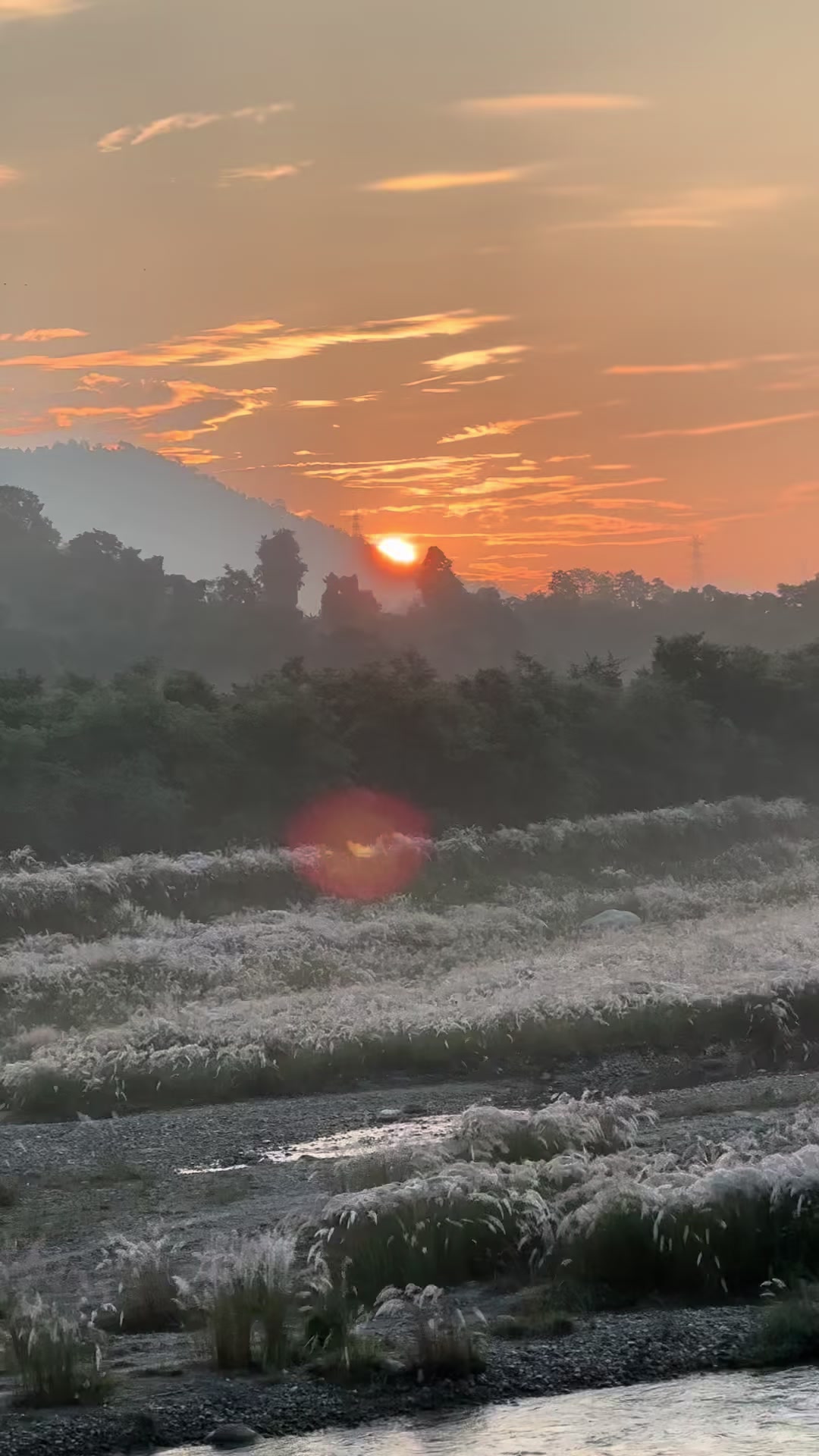 @Mina Adhikari Bartaula