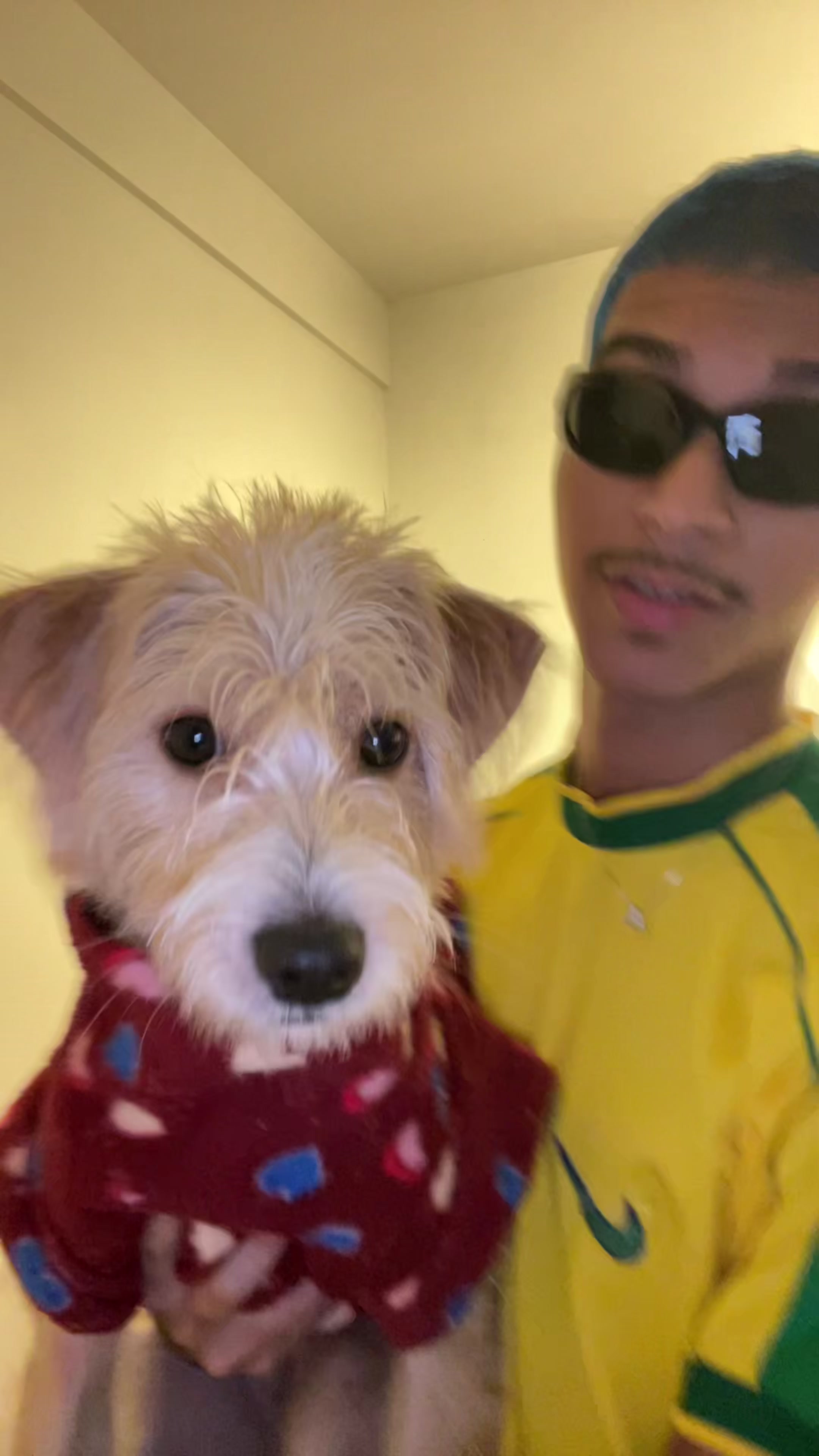 @Andrey