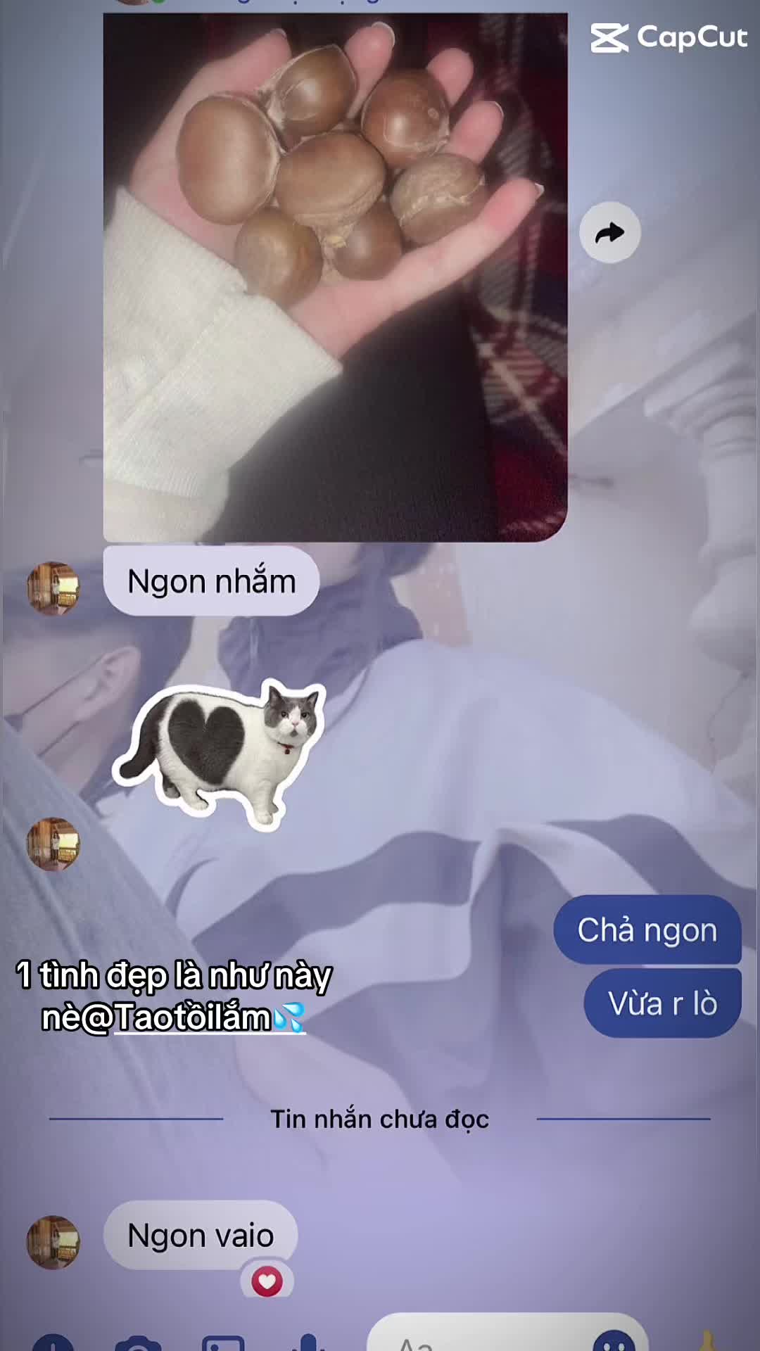 @ch&iacute;p🎀