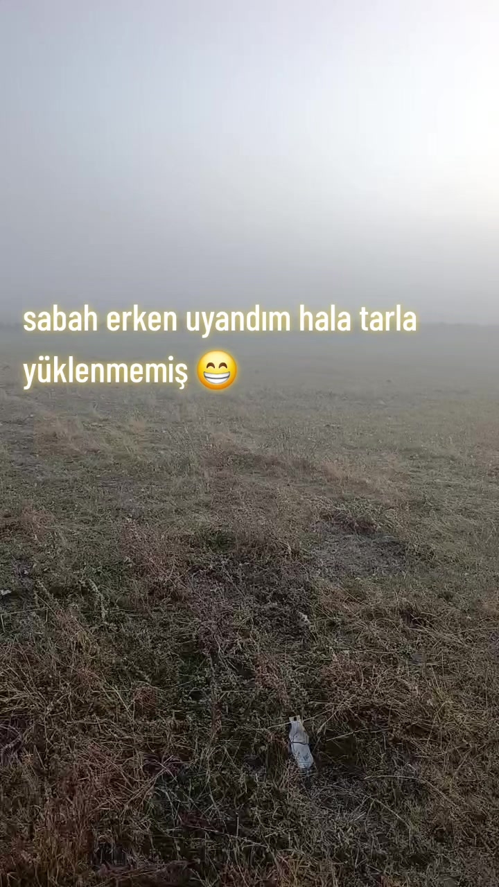 @Mahmut çerman