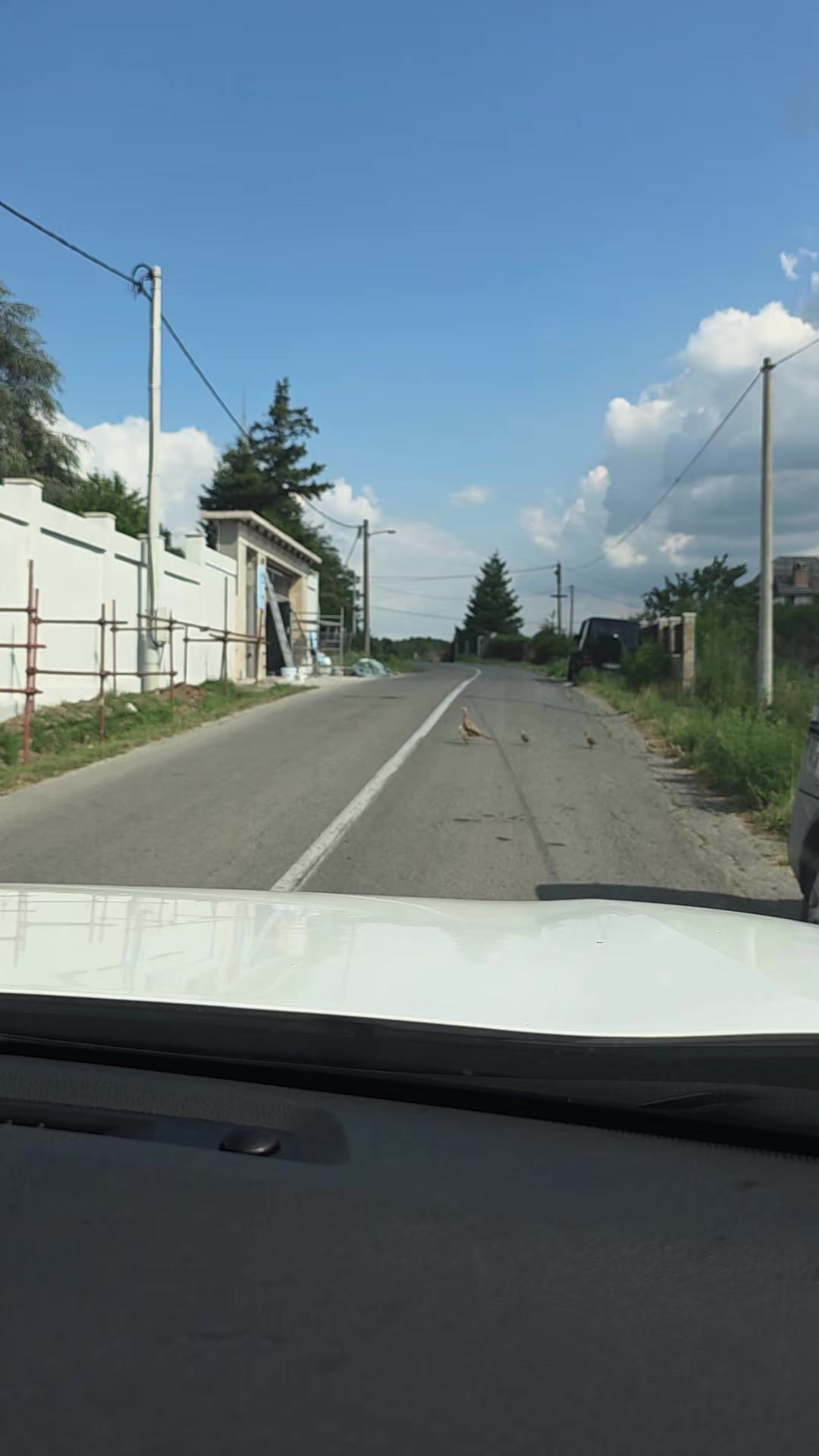 @Čist Hedonizam