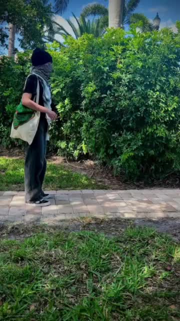@palinatives
