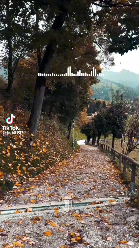 @Manuel Duarte268
