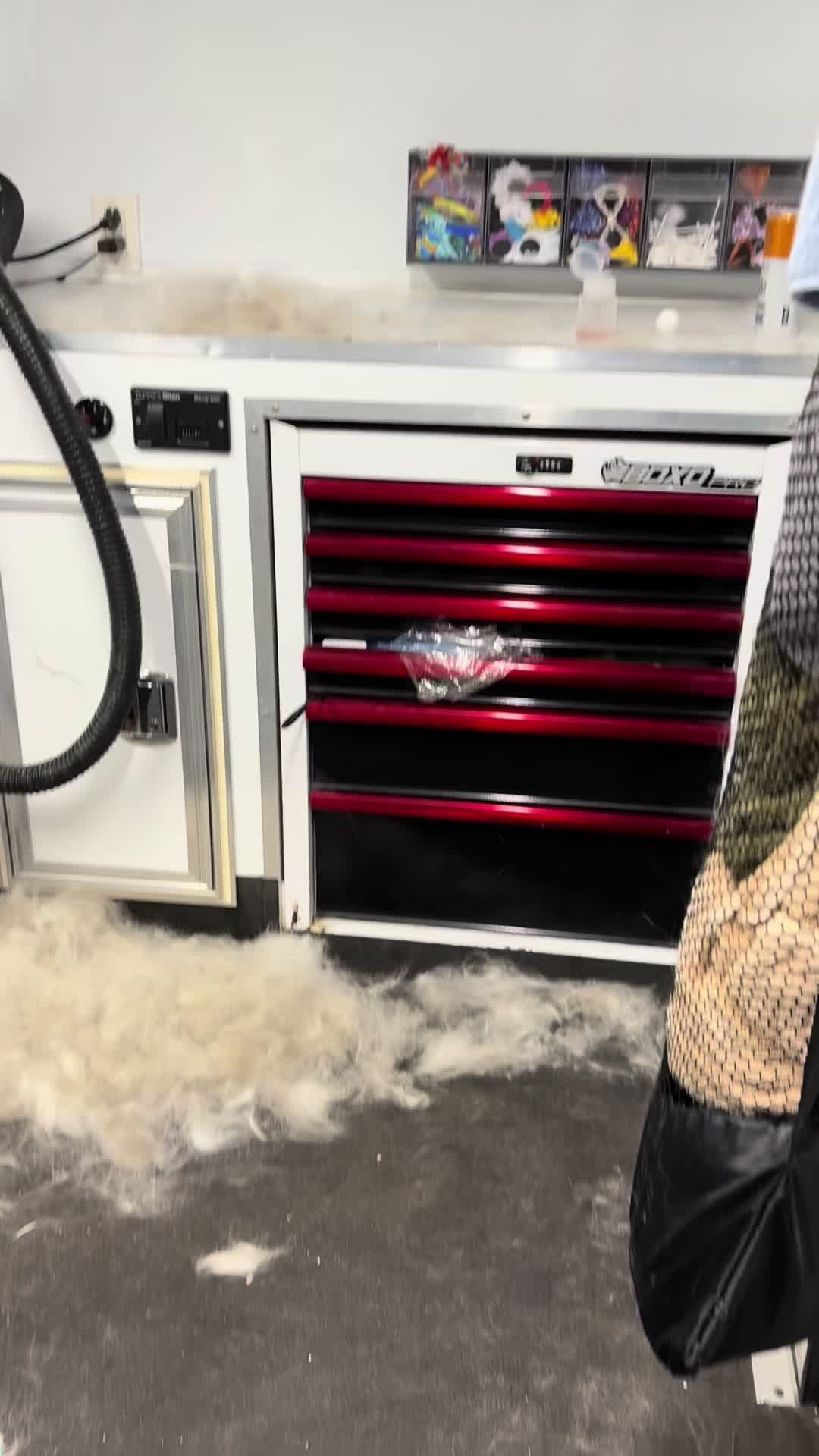 @Vivismobiledoggrooming