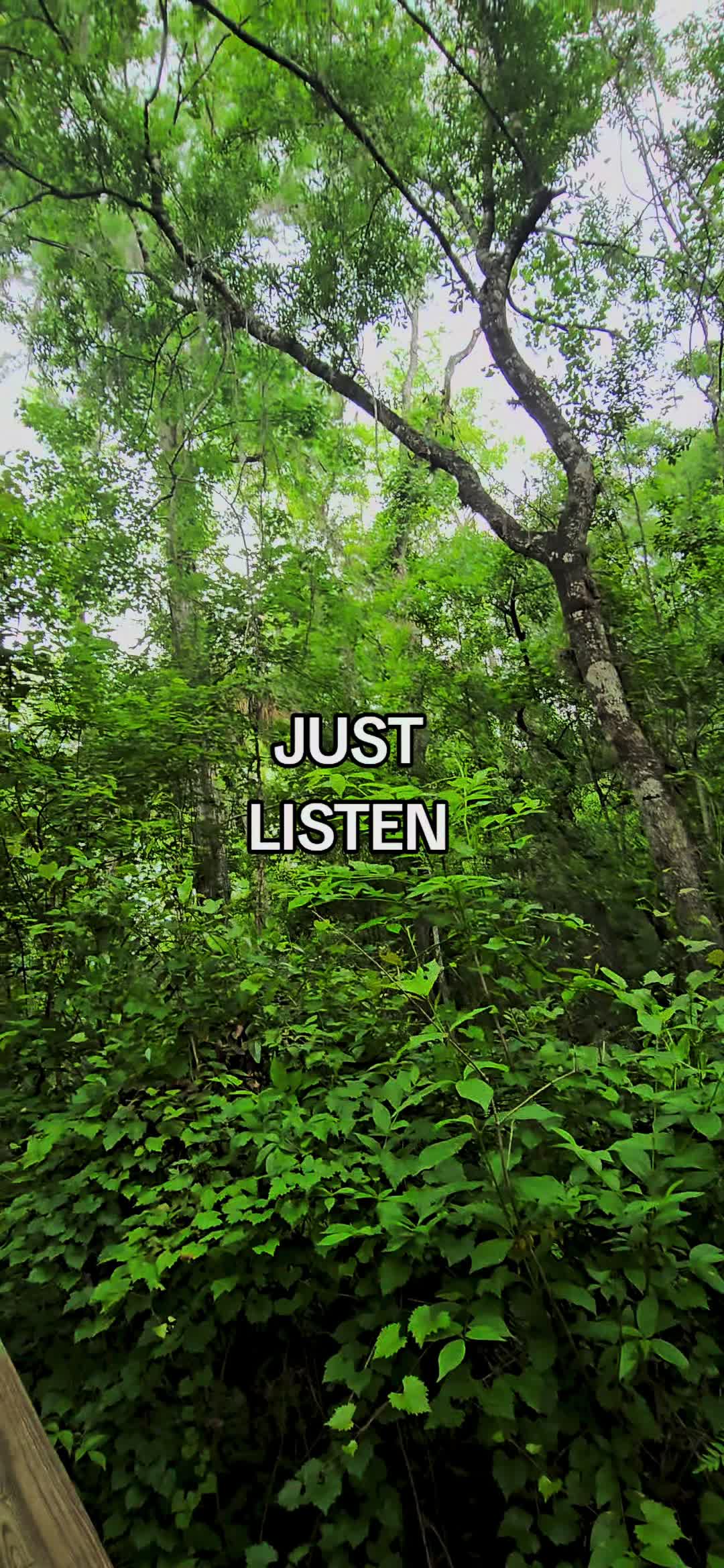 @Jennifer Cadiz