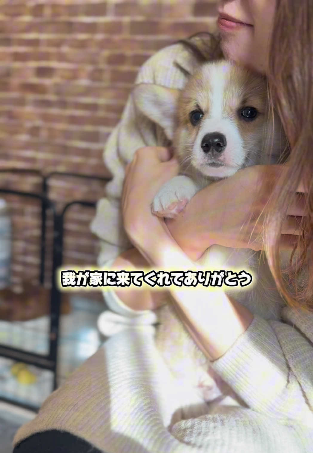 @トロン
