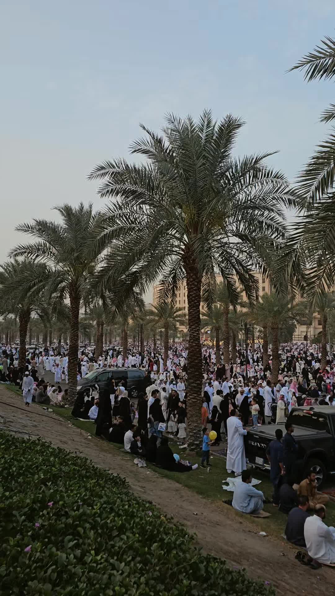 @مختار الخضمي
