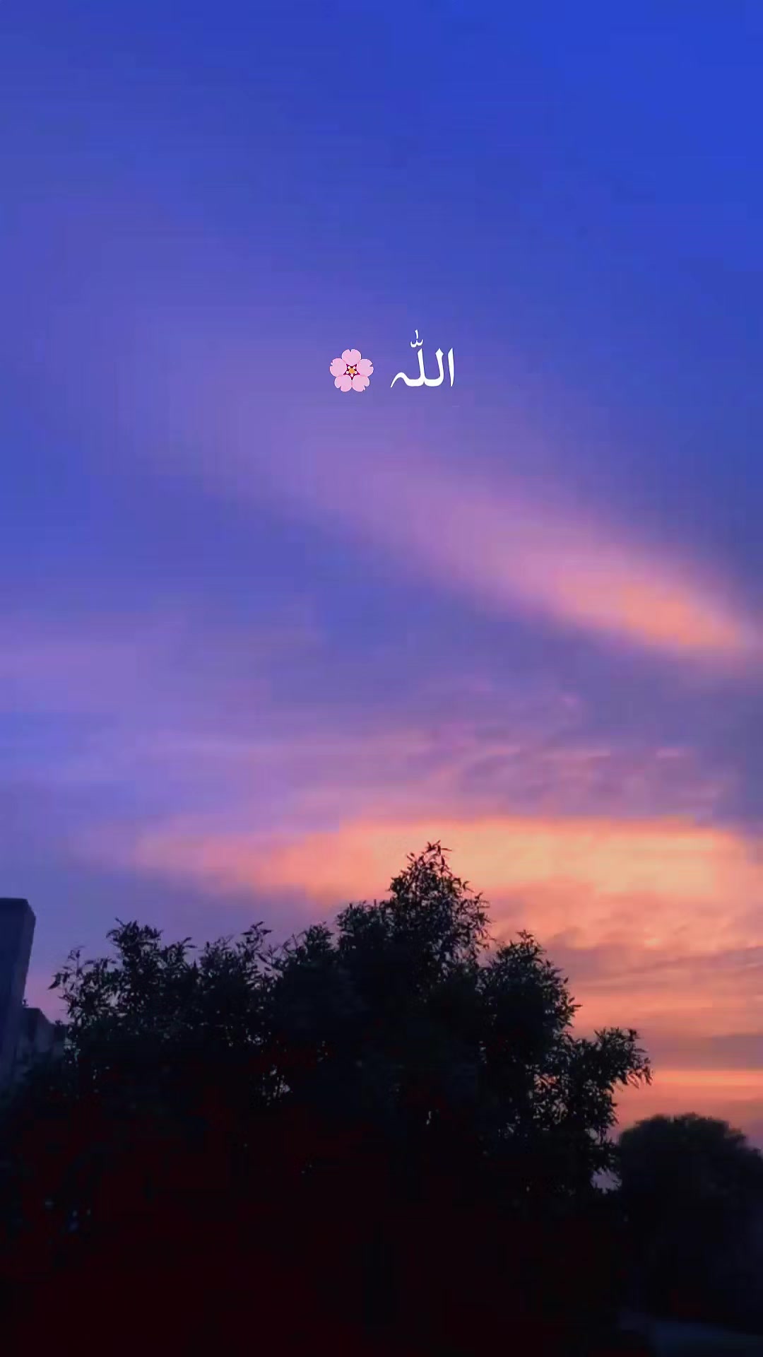 @eeshahhy_𖹭𓏧