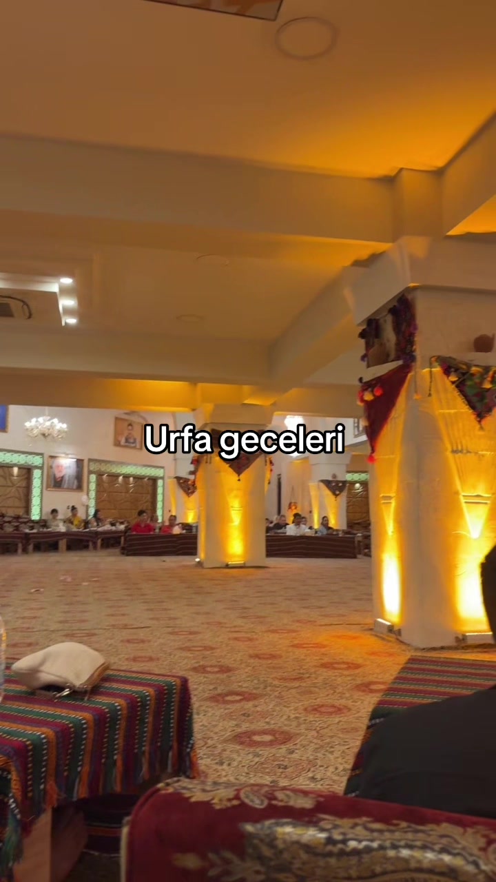 @uǝɹǝƆ 🪳