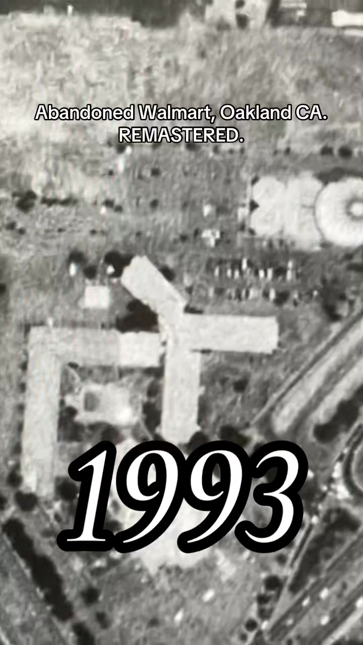 @officialgooglemapsperson