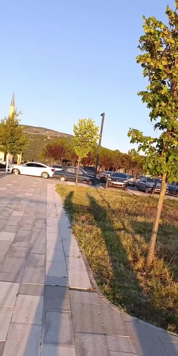 @mesut süzener