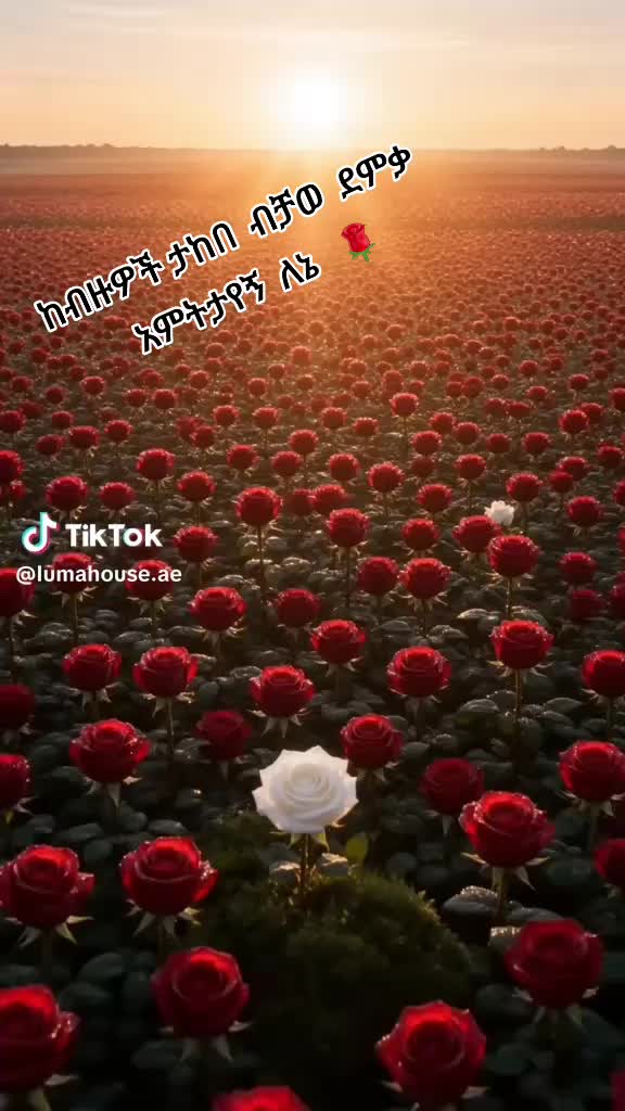 @แแ ๐ช๐น ๐ฆ