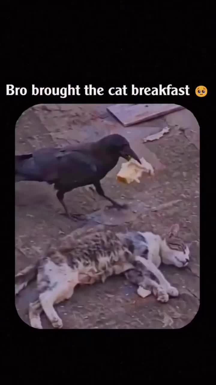 @jsmile101