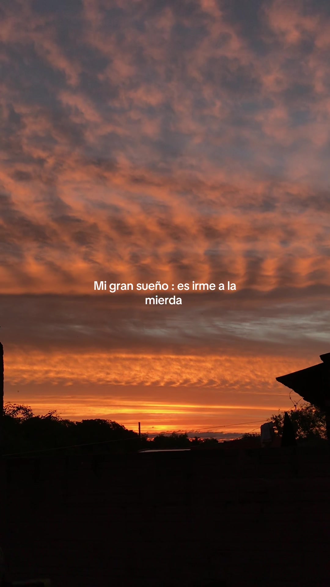 @luji
