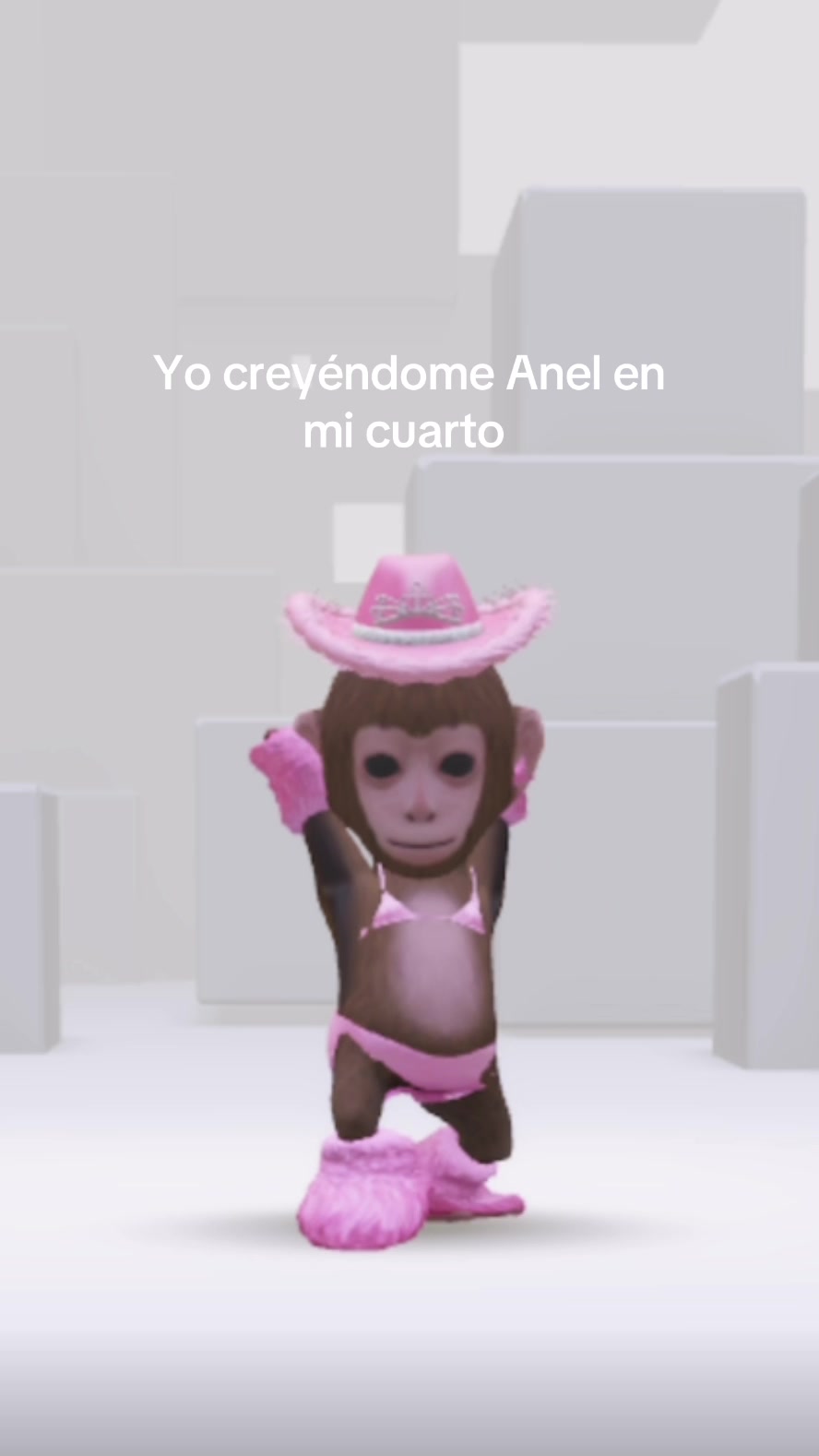 @lizgrantmx