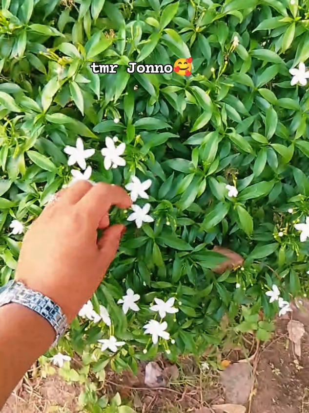 @MariYa🌸