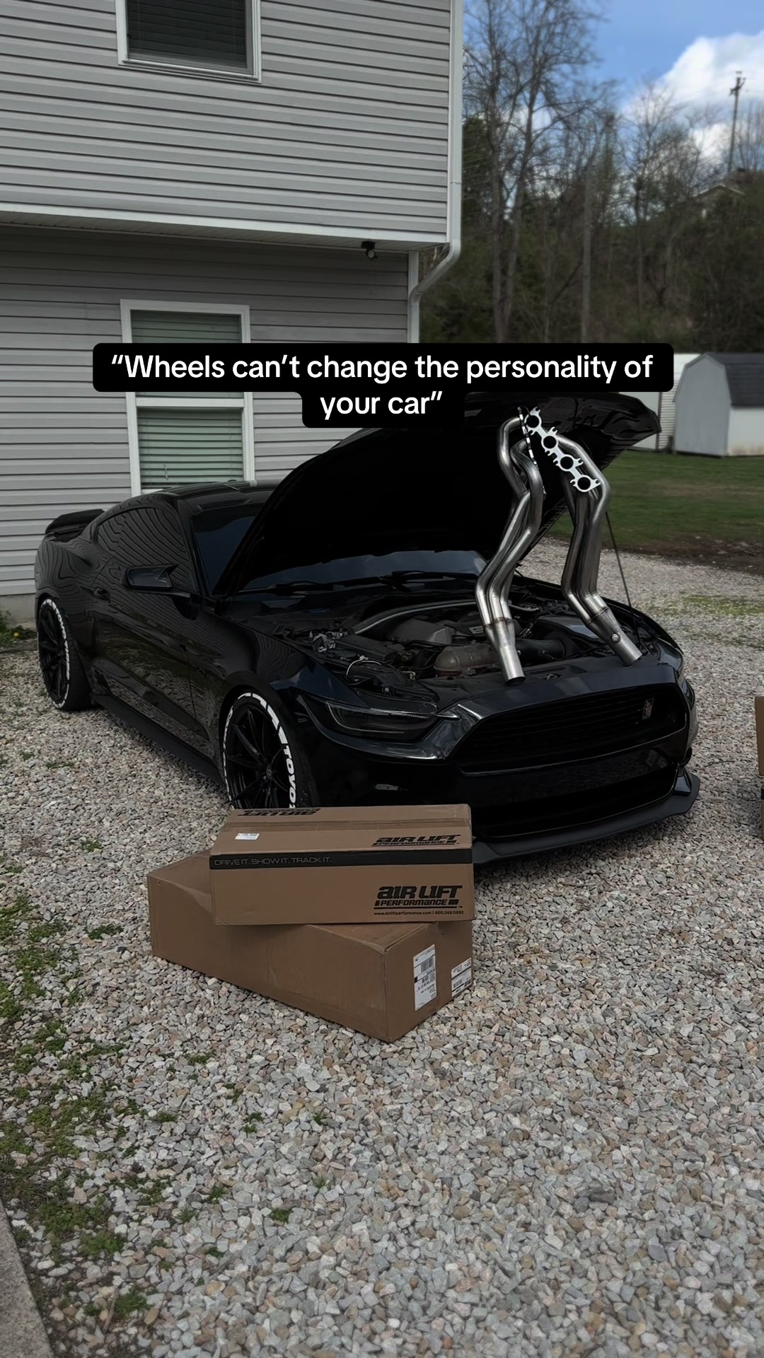 @blackout_coyote