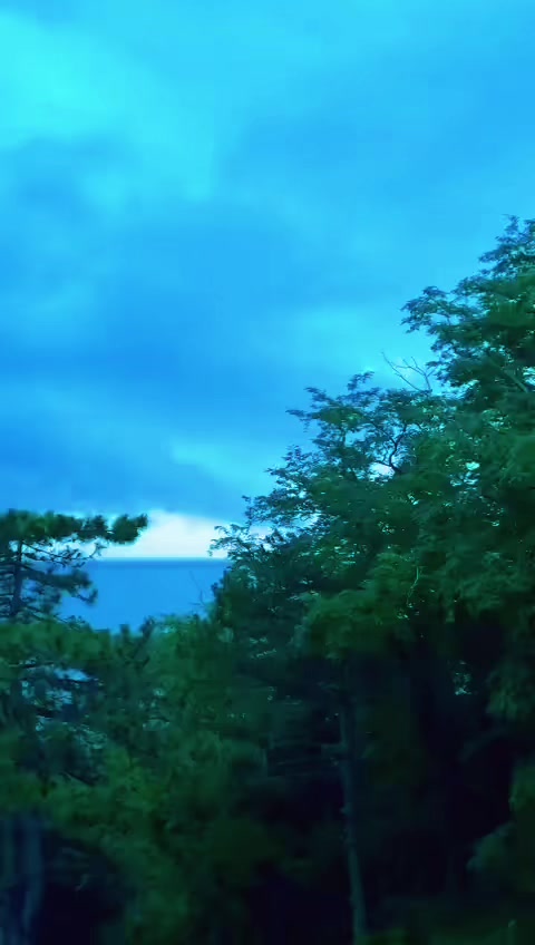 @🦂💚🤍Giresun kızı💚🤍🦂🌼🌼