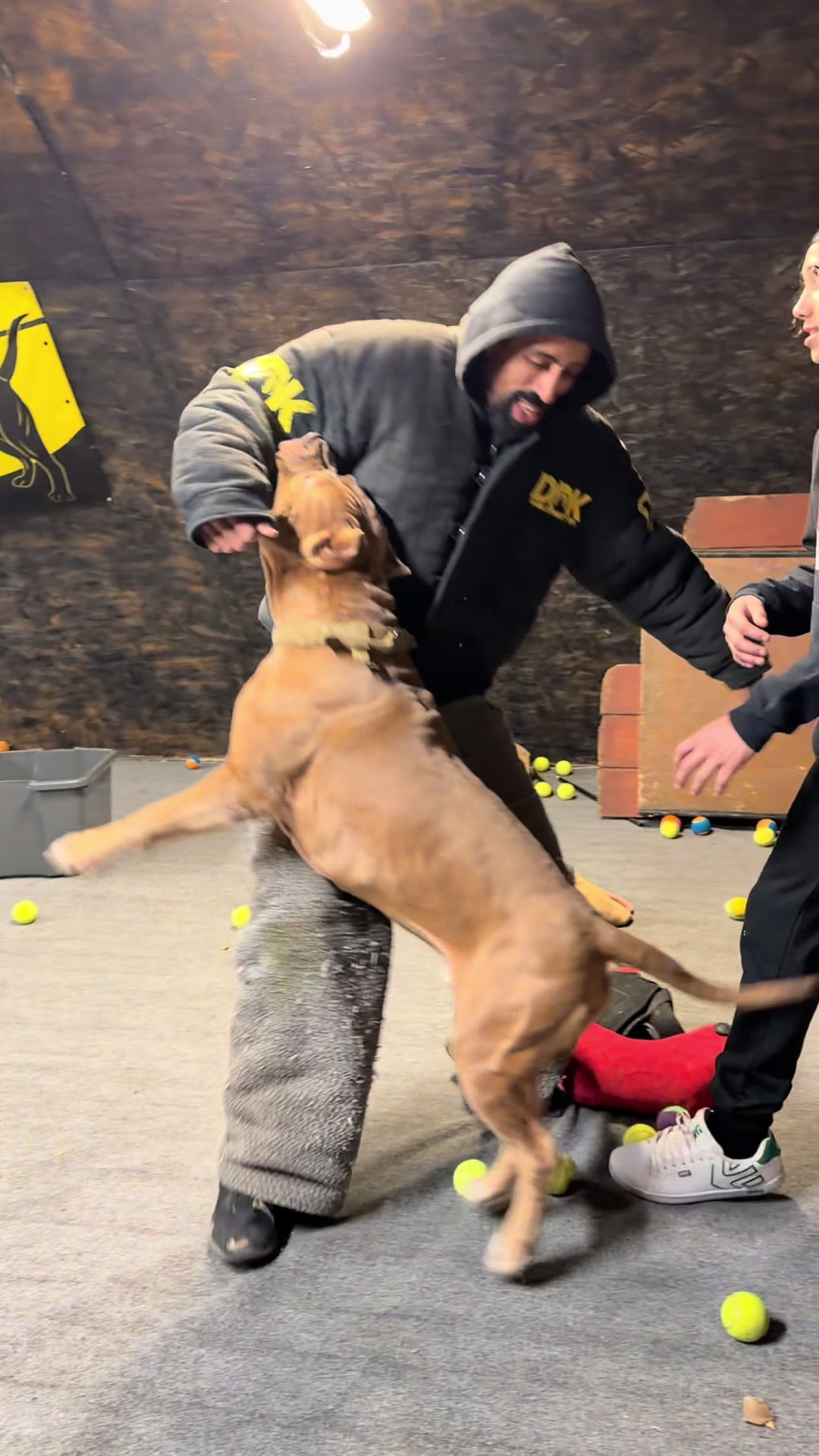 @DarkDynastyK9s