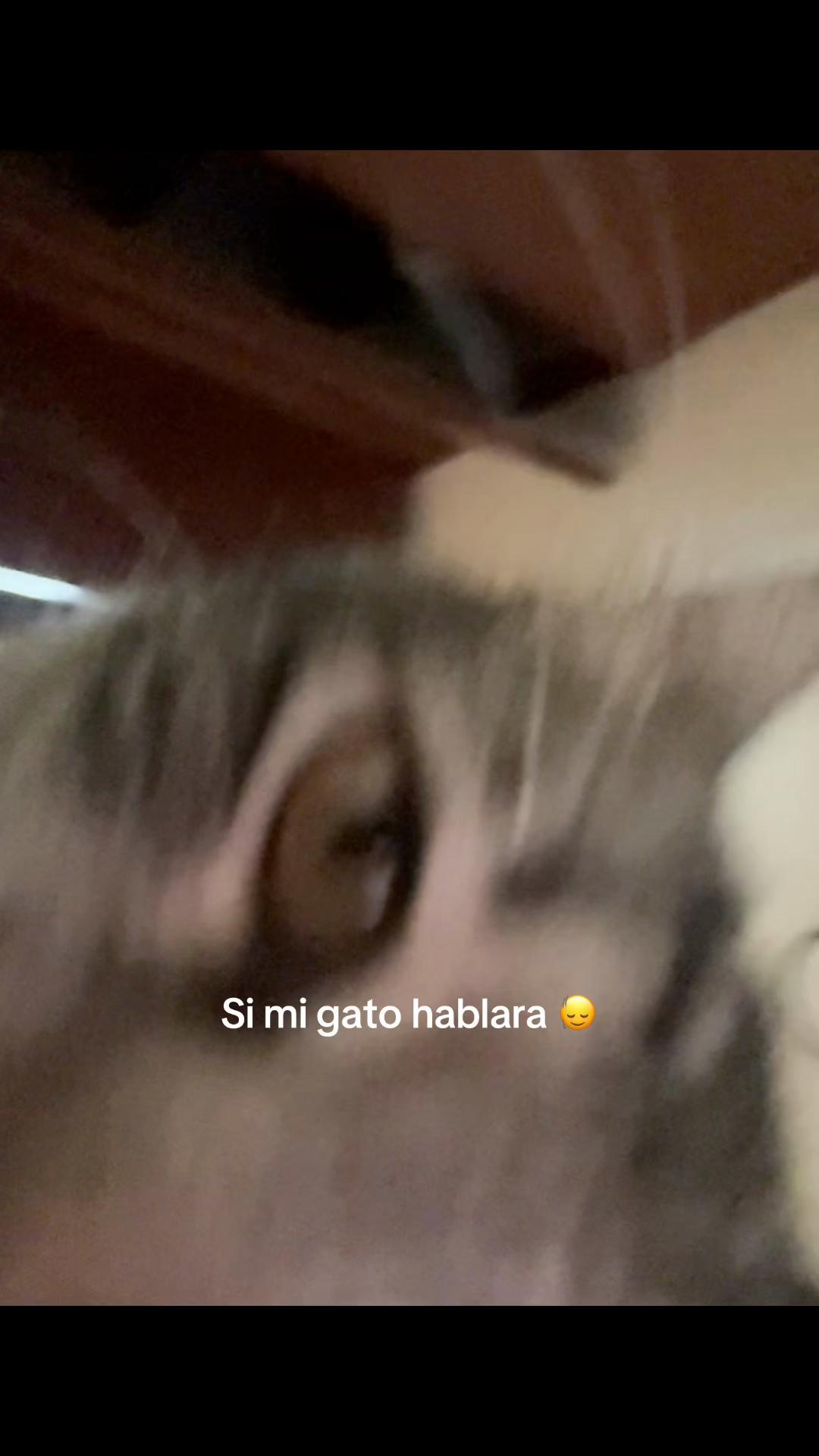 @A M E L I E