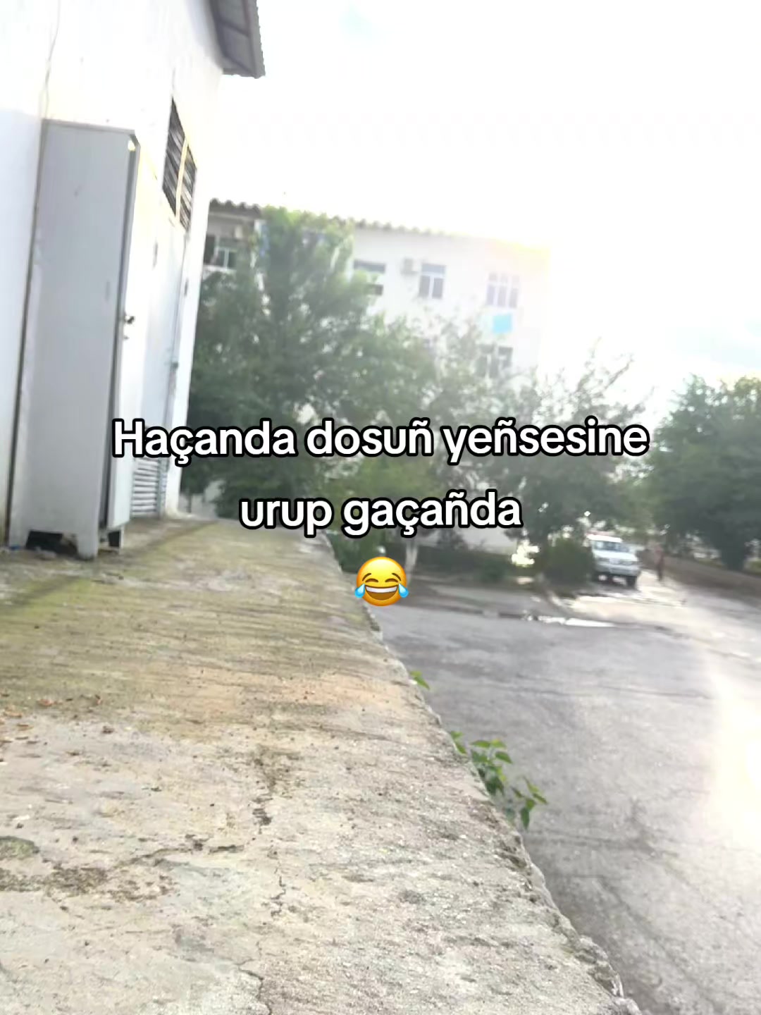 @akmdw🪄