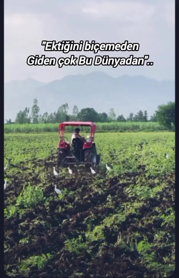 @๐ฐ๐
๐ฐ๐ฑ๐ด๐
๐บ ๐ฟ๐
๐ด๐ผ๐ธ๐
๐ผ
