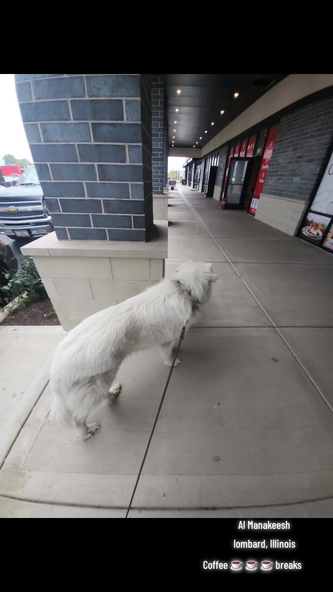 @Tantra Butterfly