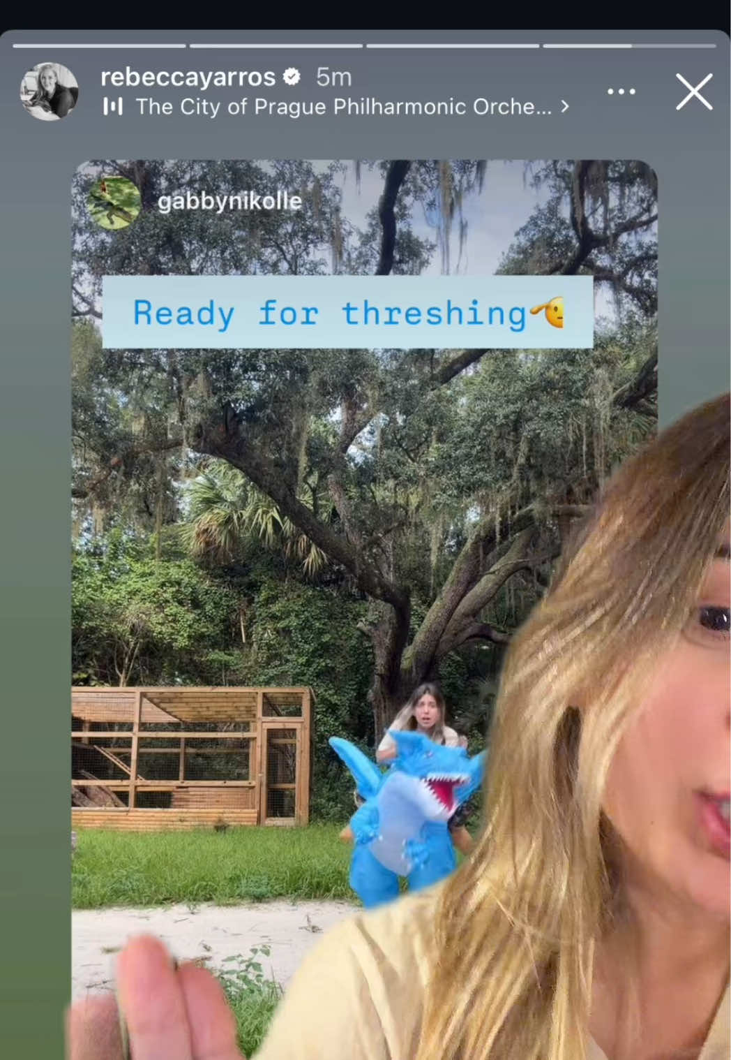 @gabbyhomegoodsgirly