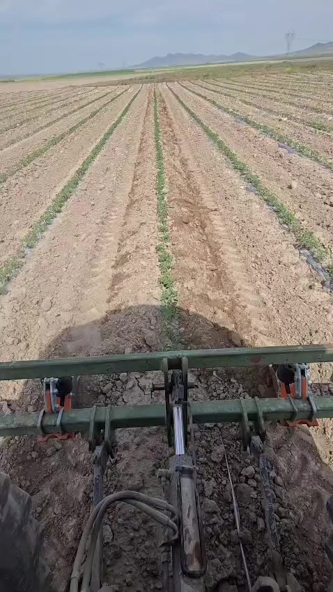 @İbrahim çiftçibaşı