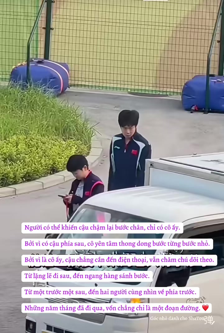 @Góc nhỏ dành cho ShaTou🦁🦈❤️