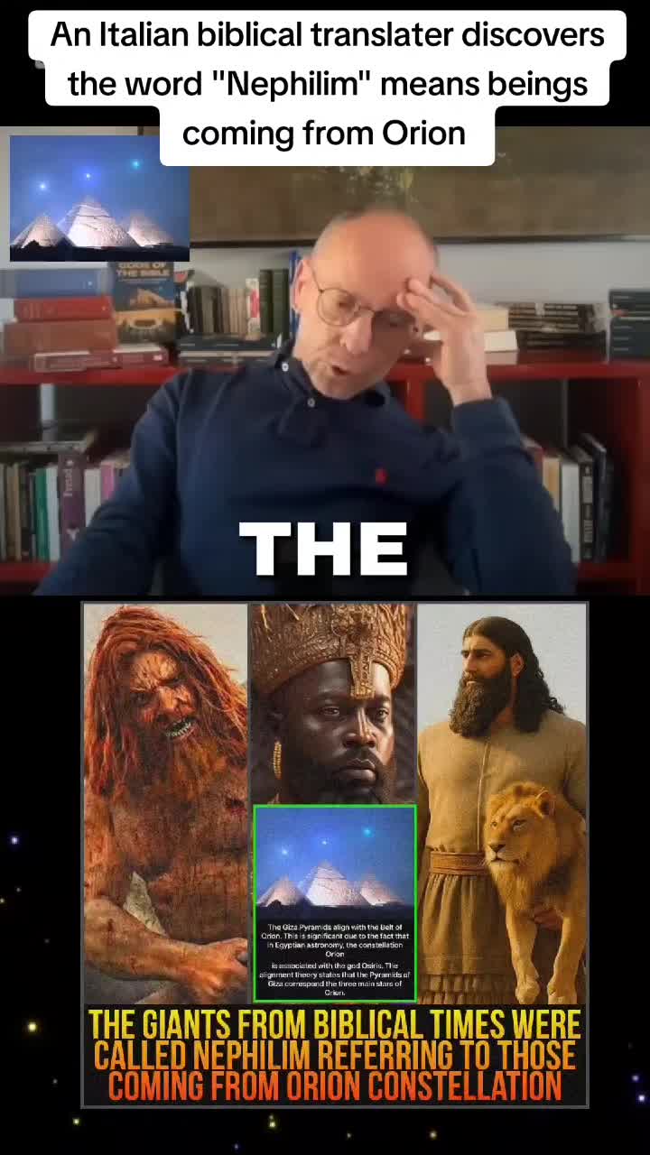 @wiz_alphavtr10