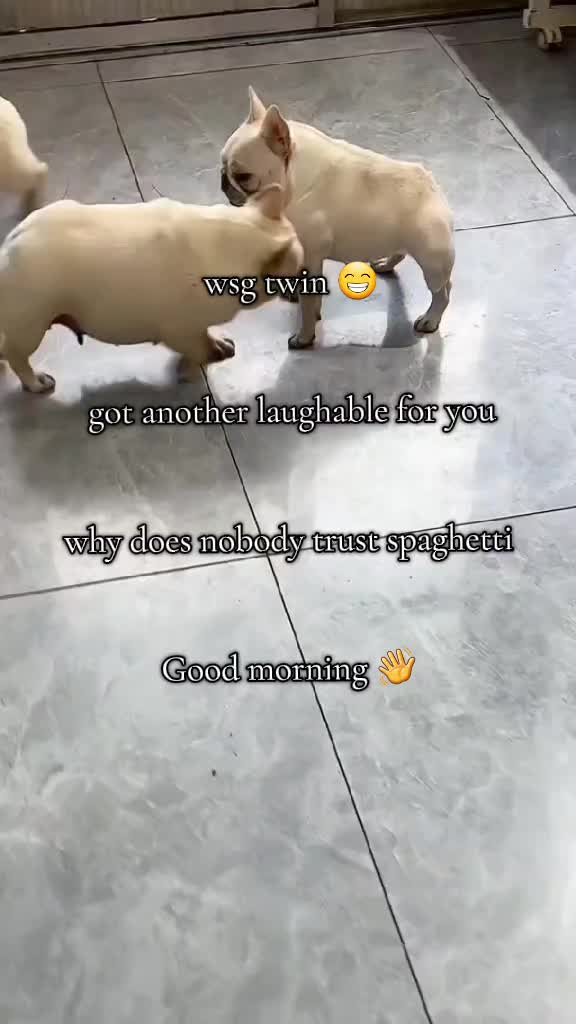 @MisterRobo