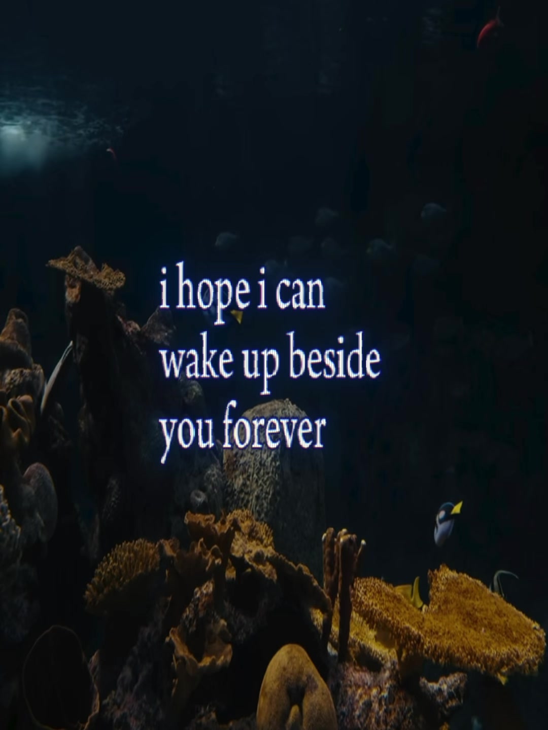 @꩜