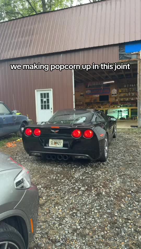 @djshedd77
