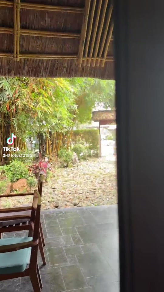 @Ms Mai Liên( Lotus 12185)