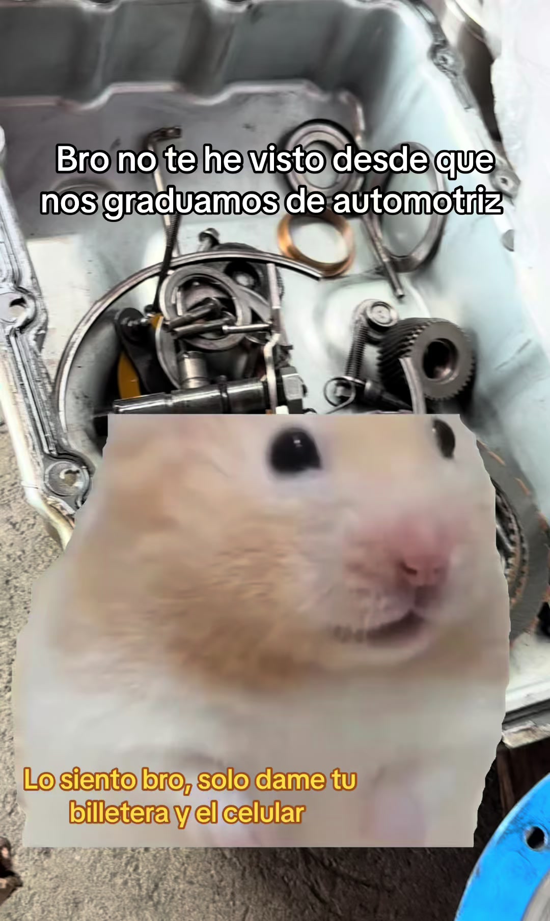 @Croautos