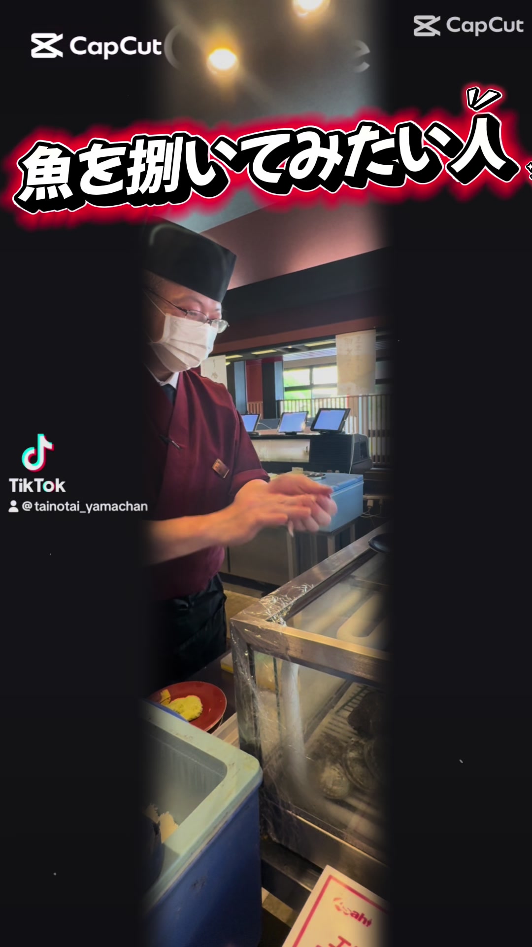 @ð£å¯¿åžå±ã®å€§å°ããŸã¡ããð£